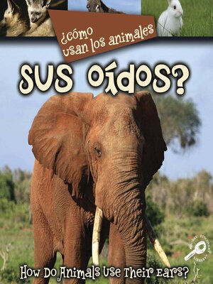 cover image of ¿Cómo Usan Los Animales Sus Oídos?